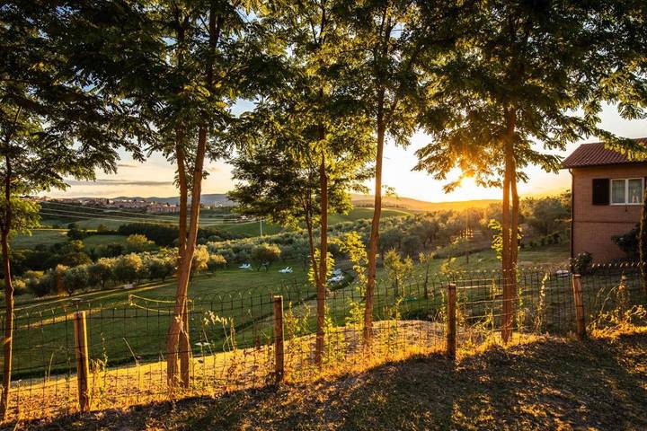 Mobil home pour 4 personnes, avec jardin ainsi que piscine et vue à Monteriggioni - 4
