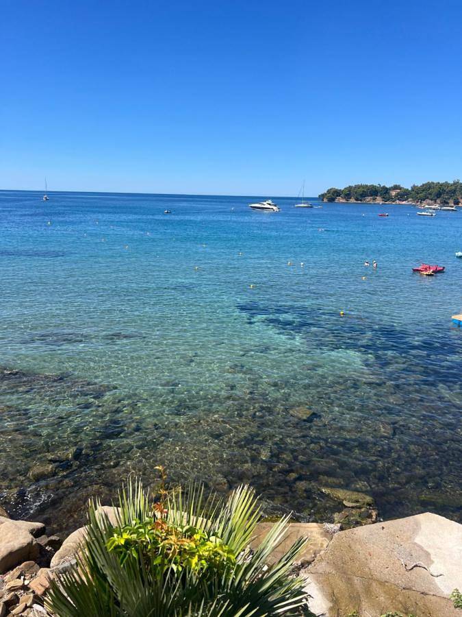 Appartamento intero, Casa Magica Ogliastro in Ogliastro Marina, Castellabate