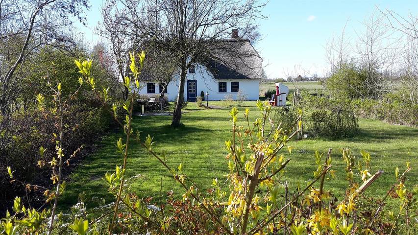 Ferienhaus für 6 Personen, mit Ausblick und Terrasse sowie Garten, mit Haustier in Vollerwiek - 2