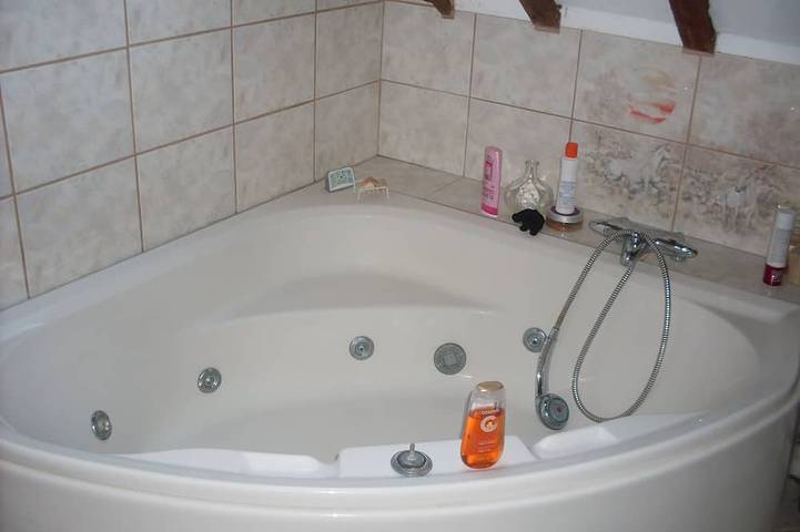 Location de vacances pour 11 personnes, avec sauna et jacuzzi ainsi que jardin et piscine à Rety - 4