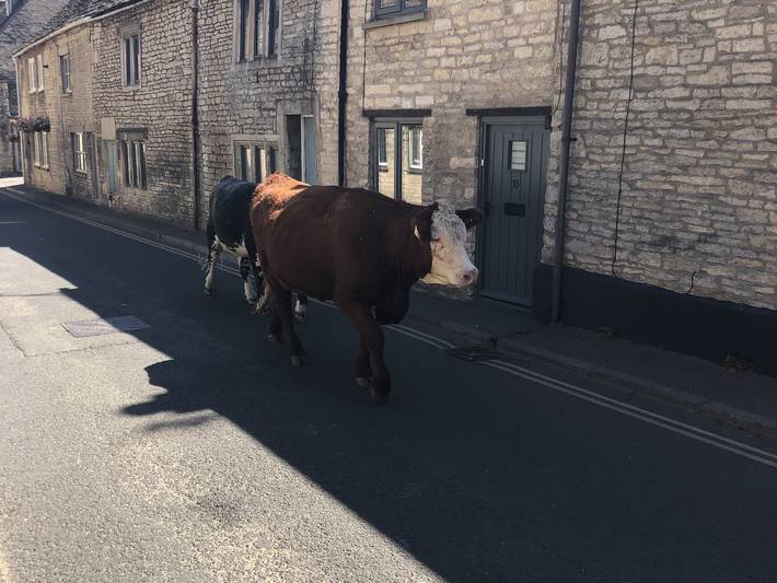 Gîte pour 2 personnes avec jardin in Stroud, Gloucestershire