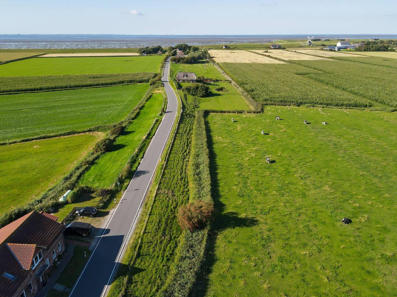 Ganze Ferienwohnung, Fewo "Mühlenblick" mit Terrasse nah am Meer in Pellworm, Nordfriesland