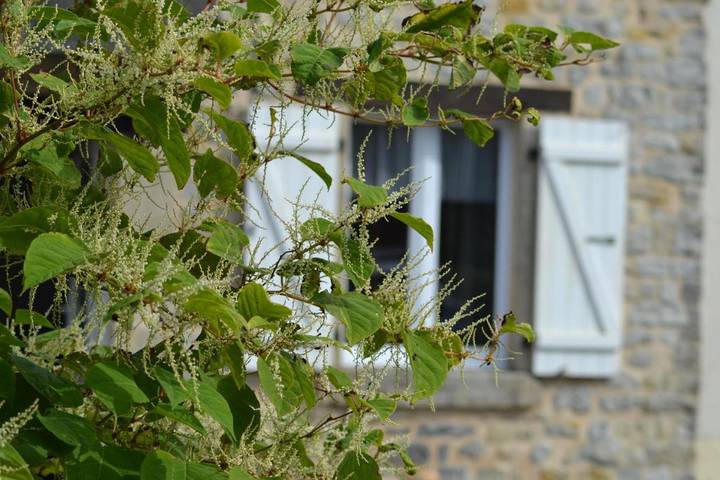 Gîte pour 5 personnes, avec jardin à Neuville-au-Plain