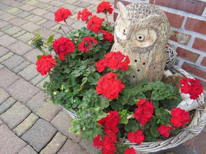 Ferienwohnung für 2 Personen, mit Garten, kinderfreundlich in Dessau-Wörlitzer Gartenreich - 4