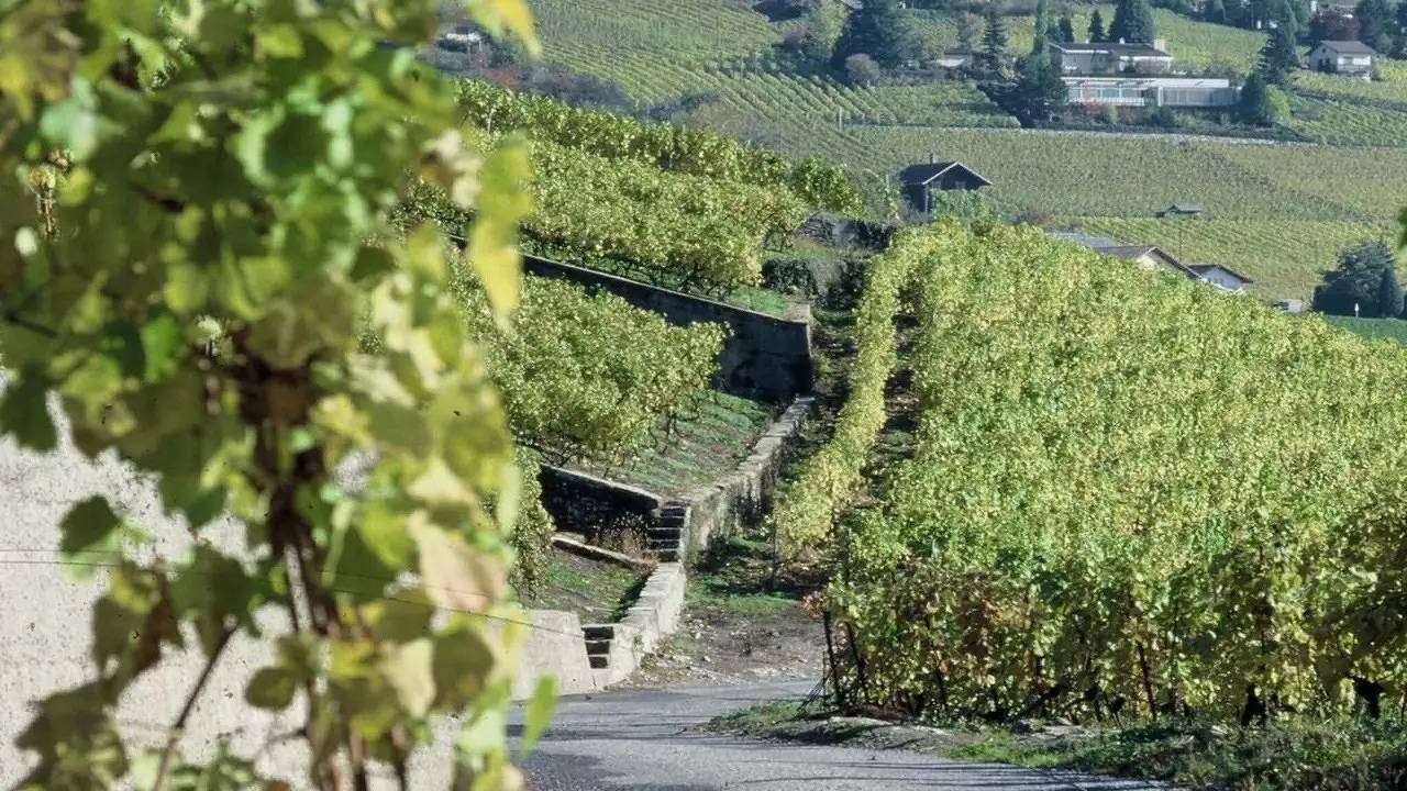 Ferienhaus für 2 Personen (27 m²) in Blonay in Blonay, Genfer See