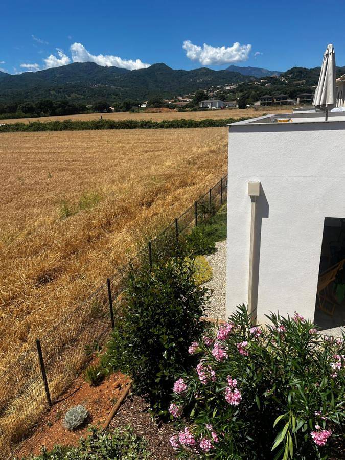 Gîte pour 6 personnes, avec piscine ainsi que jardin et vue dans Folelli - 4