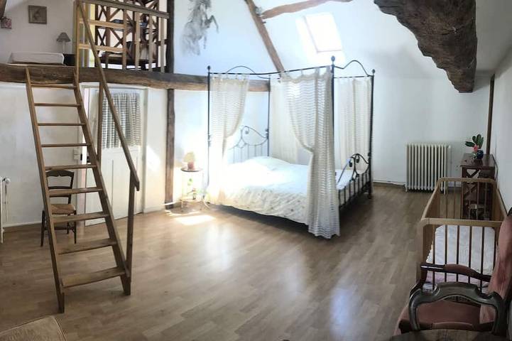 Gîte pour 12 personnes, avec jardin à Cussay - 4