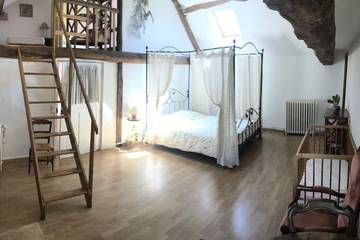 Maison D’hôte pour 12 Personnes dans Cussay, Région de Loches, Photo 3