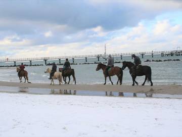 Ferienwohnung für 4 Personen in Wustrow, Fischland - Darß - Zingst, Bild 4