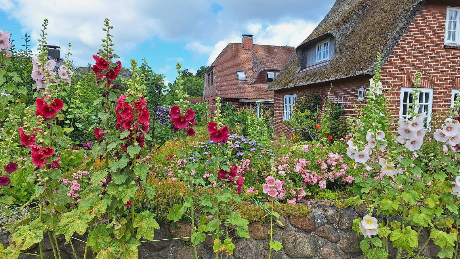Ganze Ferienwohnung, Einzelzimmer Nr. 5 in Westerland, Sylt (Gemeinde)