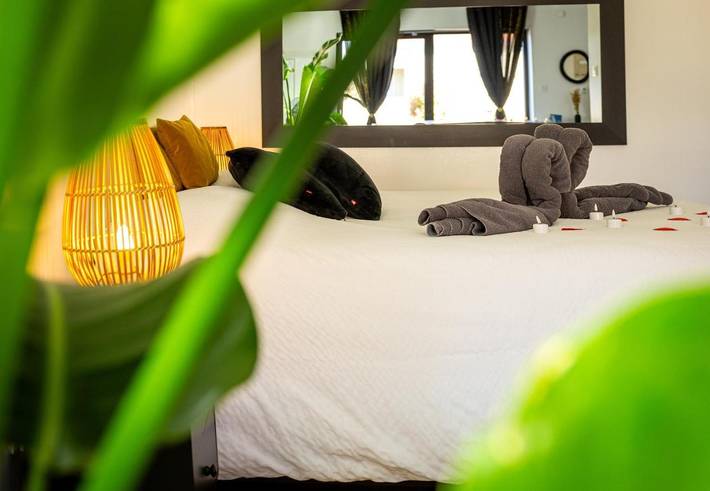 Location de vacances pour 2 personnes, avec jacuzzi et terrasse à Urschenheim - 4