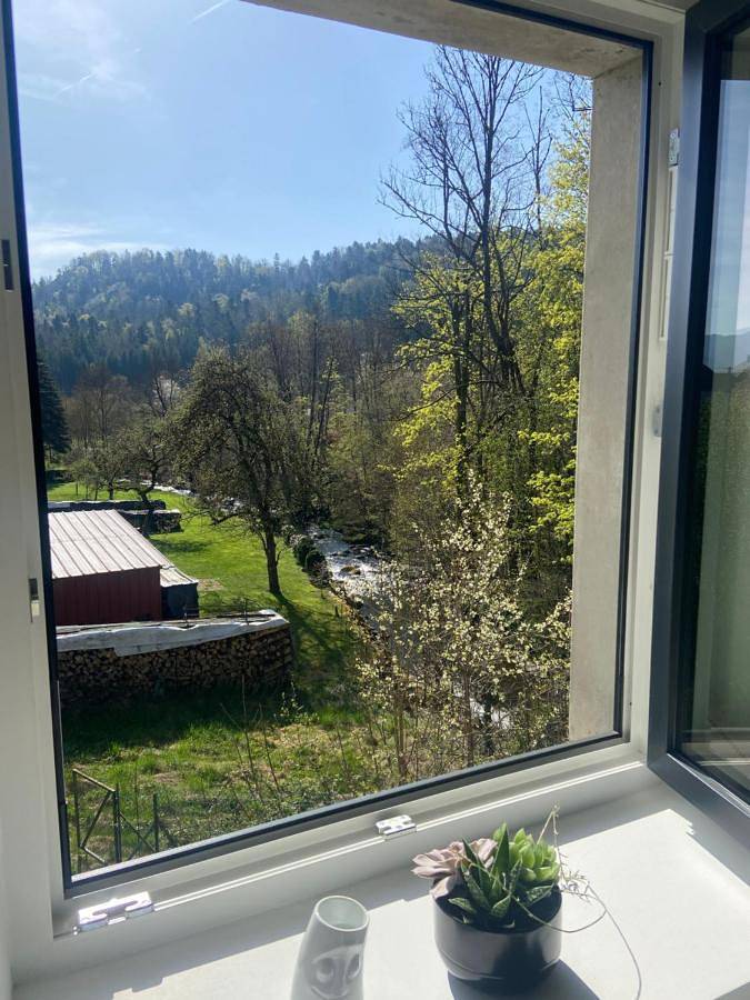 Appartement entier, Le clos du moulin - Studio loft aux pieds des Vosges in Sewen, Parc naturel régional des Ballons des Vosges