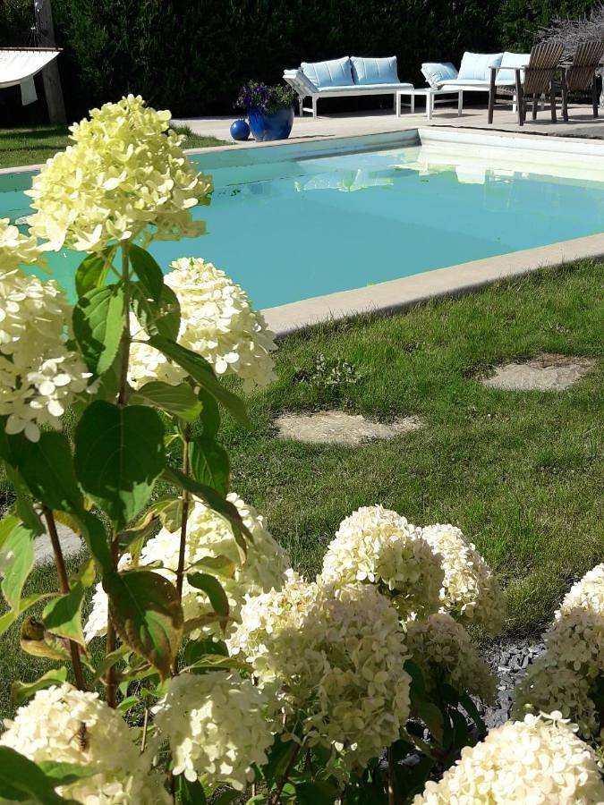 Chambre d’hôte pour 10 personnes, avec vue et piscine ainsi que jardin et bassin pour enfant dans Ardennes (Belgique) - 4