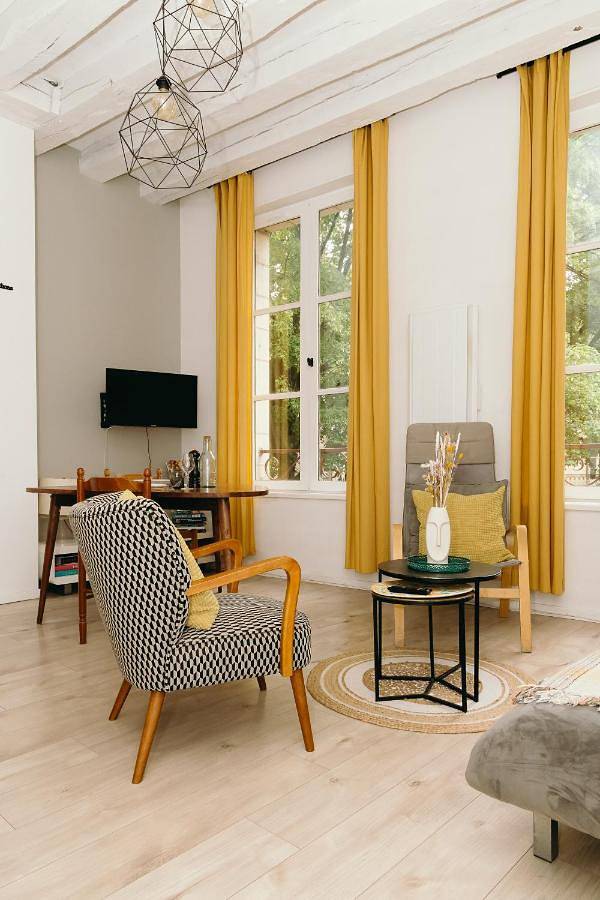 Appartement entier, Appartement La Petite Tonnelle - place St Pierre in Saumur, Vallée de la Loire