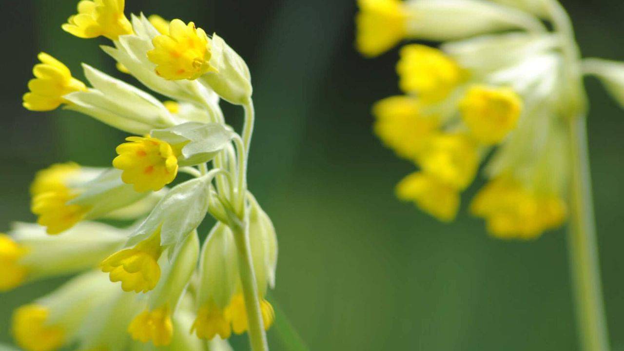 Ferienhaus für 6 Personen (85 m²) in Nain in Hallsberg, Örebro und Umgebung