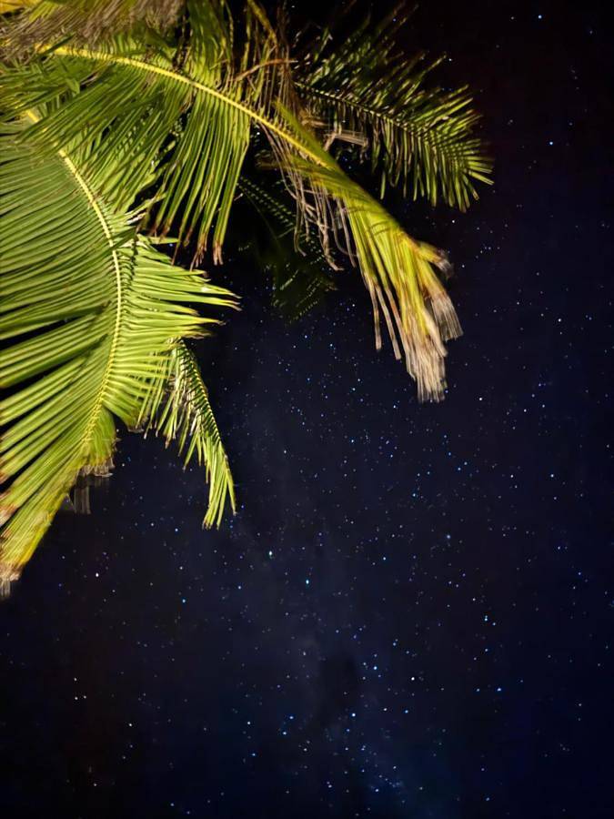 Location de vacances pour 4 personnes, avec jardin et vue dans Rangiroa - 3