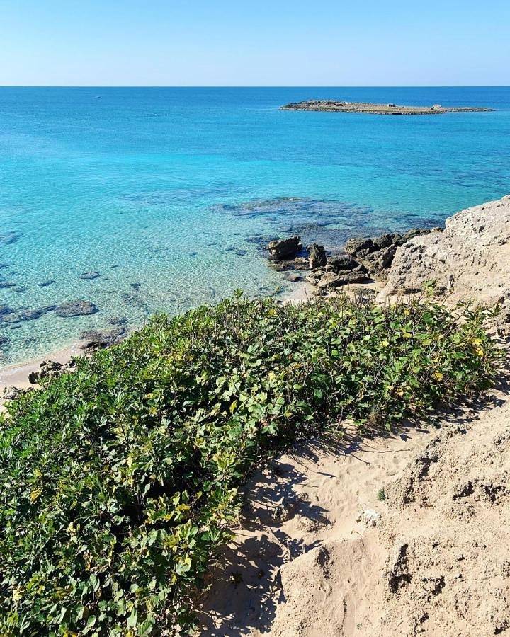 Ganze Wohnung, Salento Cecilia - solo settimane intere da sabato a sabato in Torre San Giovanni, Ugento