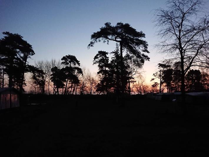 Ferienhaus für 5 Personen, mit Terrasse, kinderfreundlich in Marielyst - 3