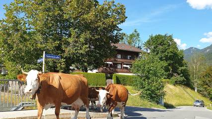 Ferienwohnung für 4 Personen in Krün, Bayerische Alpen, Bild 1