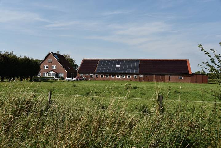 Ganze Wohnung, Hof Freudental - Hof Freudental (Belum in Belum, Cuxland