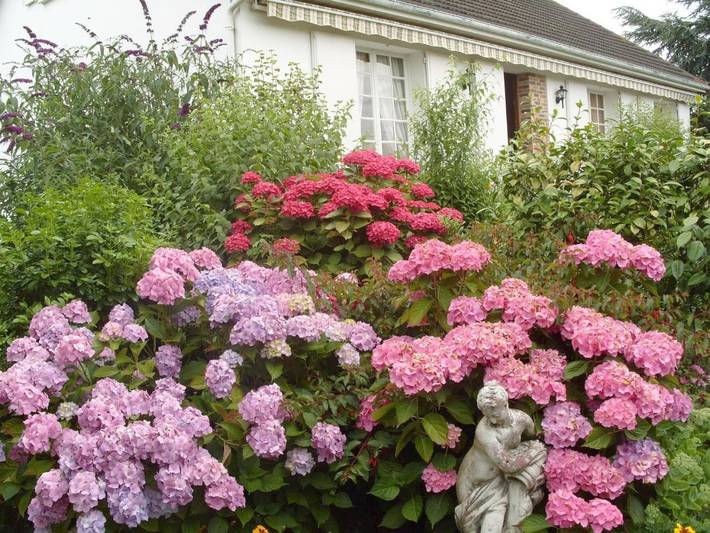 Maison d’hôte pour 2 personnes, avec Terrasse et Jardin à Martragny
