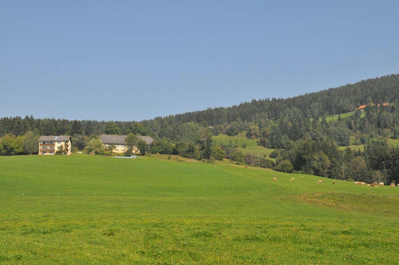 Ganze Wohnung, Graglerhof in Liebenfels, Mittelkärnten