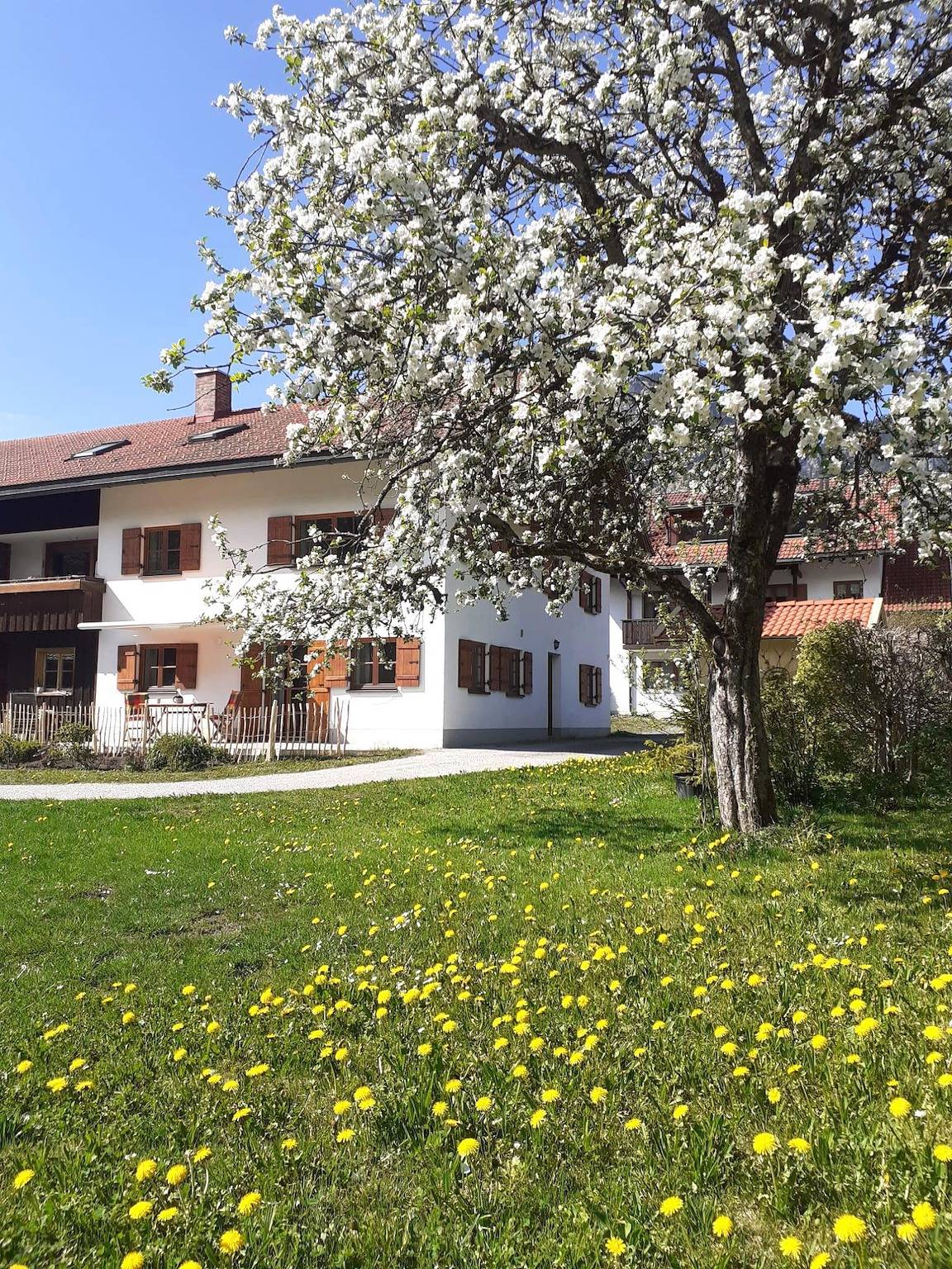 Ganze Ferienwohnung, Hartmann´s Nescht in Bad Oberdorf, Bad Hindelang