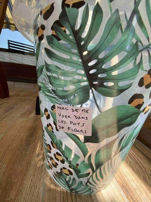 Gîte pour 2 personnes, avec balcon dans Esplanade du Lac ( Aix-les-Bains) - 4