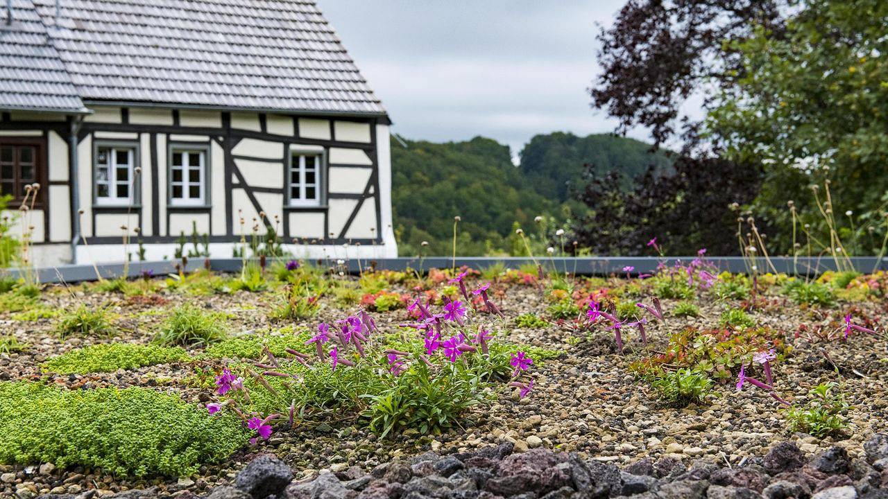 Ferienhaus für 4 Personen (80 m²) in Utzerath in Utzerath, Vulkaneifel