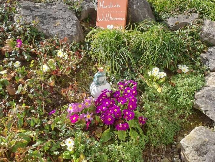 Ferienwohnung für 2 Personen, mit Terrasse in Bermatingen - 2