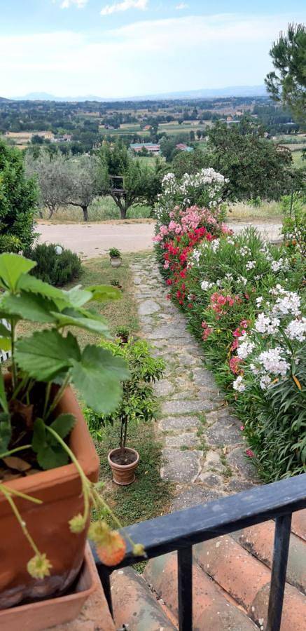 Gîte pour 4 personnes, avec jardin et vue, animaux acceptés à Bevagna - 3