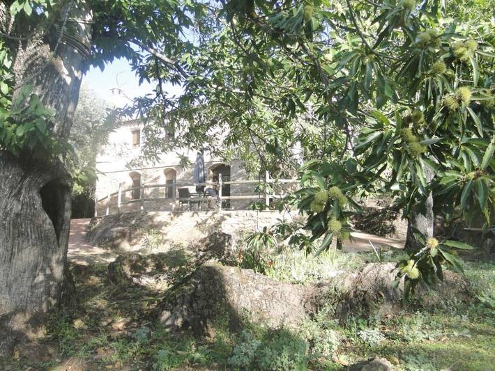 Chalet para 2 personas, con vistas y terraza además de jardín y piscina, Se admiten mascotas en Andalucía - 4