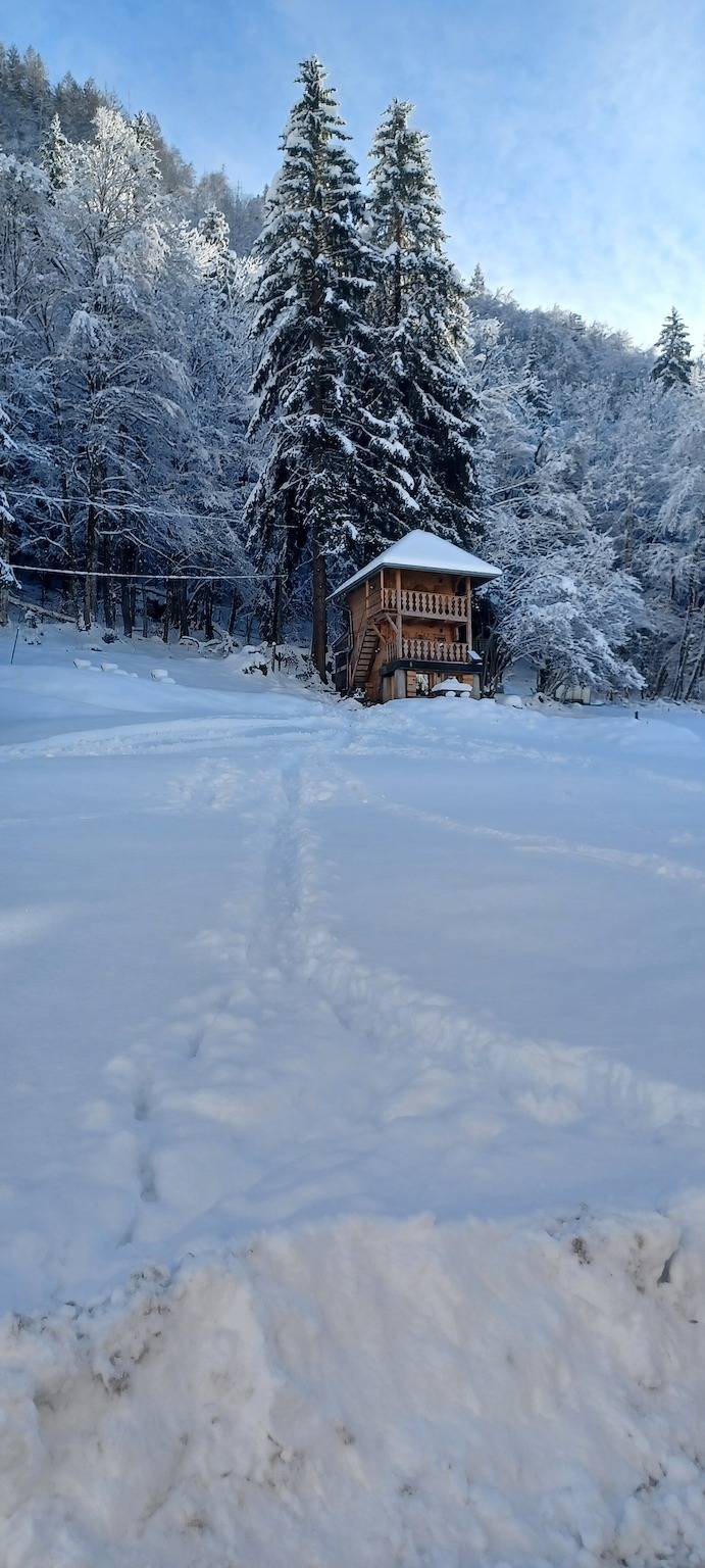 Chalet pour 4 personnes, avec jardin, adapté aux familles - 1