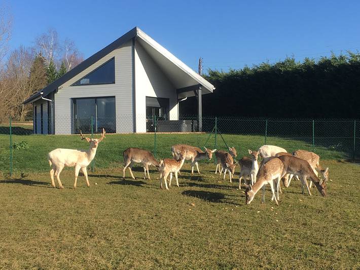Maison de pêcheur pour 5 personnes, avec Jacuzzi et Terrasse ainsi que Jardin et Vue sur le lac à Bersaillin