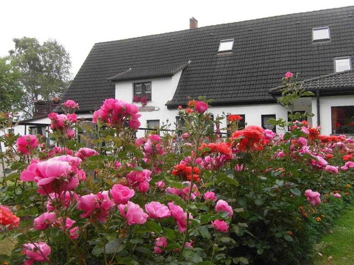 Ferienwohnung mit 1 Schlafzimmer in Thesenvitz, Bergen auf Rügen