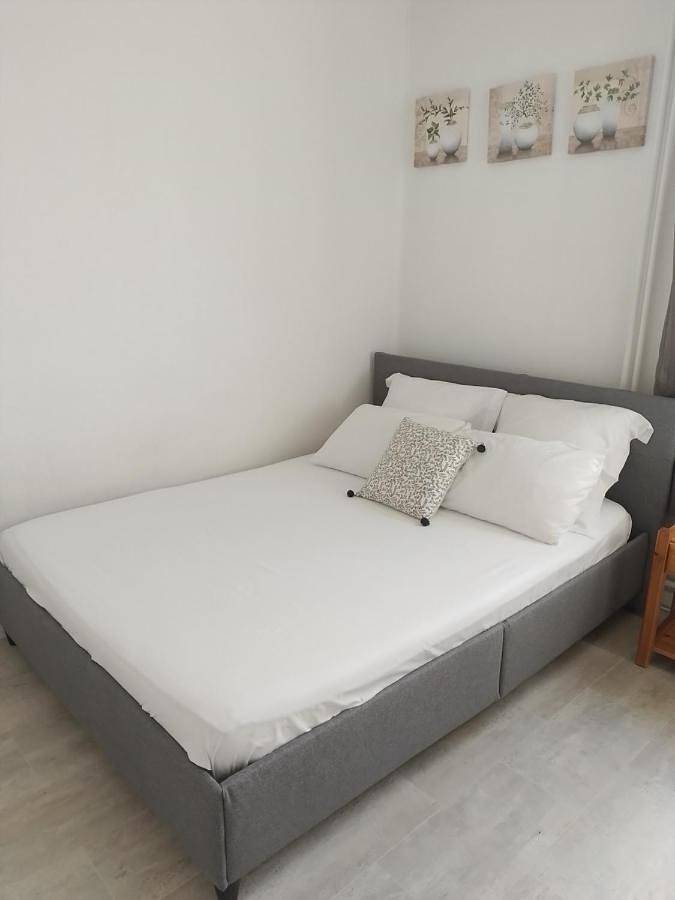 Gîte pour 5 personnes, avec jardin et vue à Vaulx-en-Velin - 4