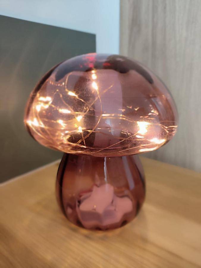 Maison d’hôte pour 2 personnes, avec jardin ainsi que piscine et terrasse dans le Tarn-et-Garonne - 4