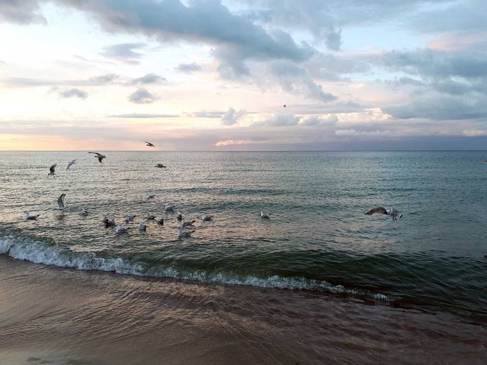 Ferienwohnung für 2 Personen, mit Sauna und Balkon, kinderfreundlich in Baabe - 3
