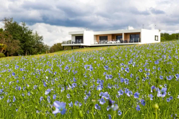Casa de huéspuedes para 4 personas, con jardín y vistas, Se admiten mascotas - 1