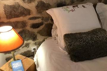 Location De Vacances pour 3 Personnes dans Chambon-sur-Lac, Région de Besse-et-Saint-Anastaise, Photo 2