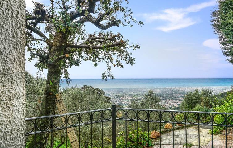 Gîte pour 6 personnes, avec jardin et terrasse, animaux acceptés à Pietrasanta - 3