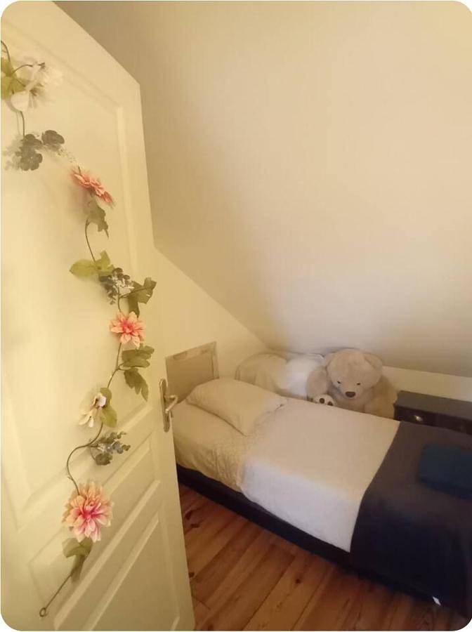 Gîte pour 3 personnes, avec terrasse à Montlouis-sur-Loire - 4