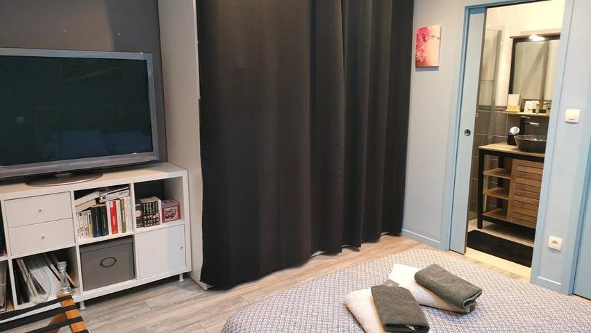 Chambre d’hôte pour 2 personnes, avec terrasse à Le Mans - 3