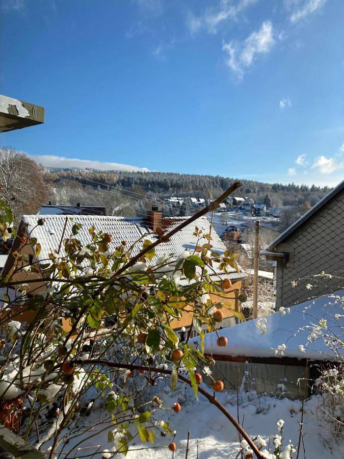 Ferienhaus für 9 Personen, mit Terrasse und Garten sowie Ausblick in Zella-Mehlis