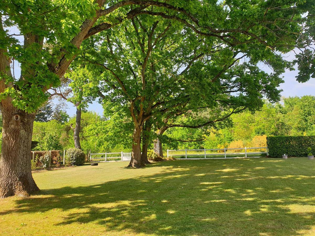 Les Dryades Milly in Milly-la-Forêt, Parc naturel régional du Gâtinais français