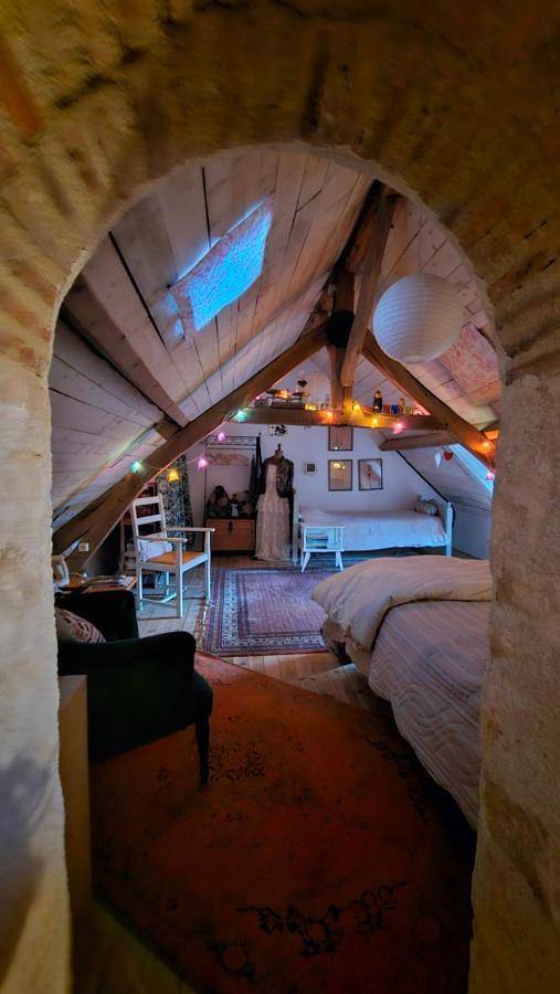 Chambre d’hôte pour 3 personnes, avec jardin, animaux acceptés dans Saint-Amand-Montrond - 3
