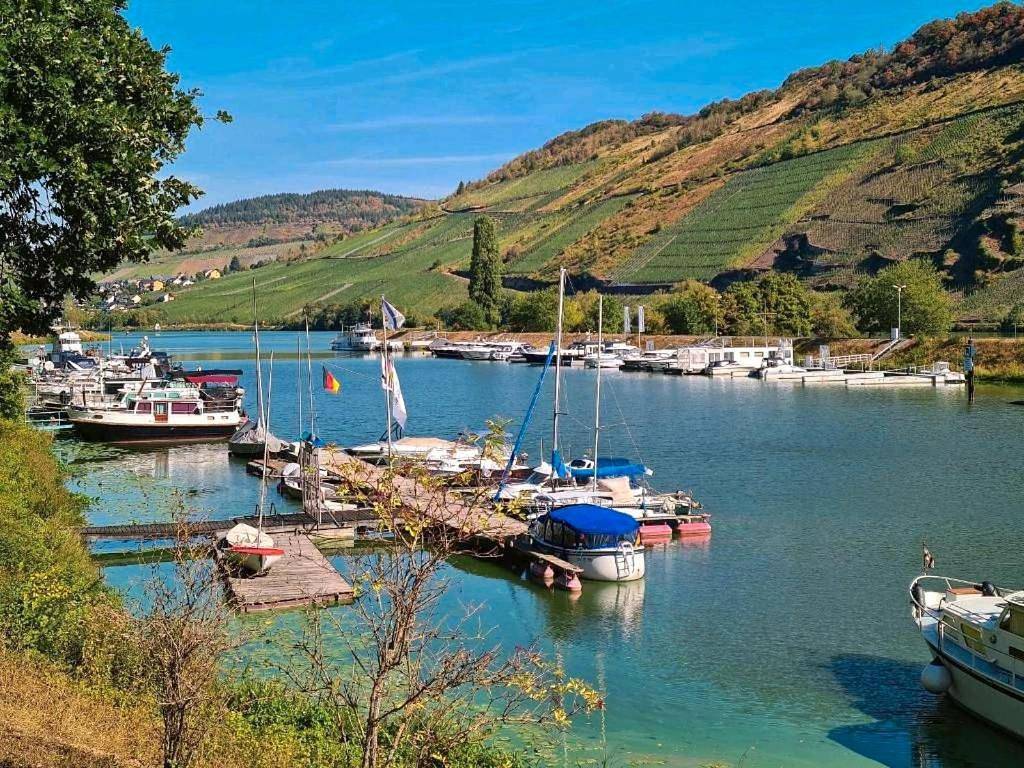 Moselcube in Traben-Trarbach, Bernkastel-Kues & Umgebung