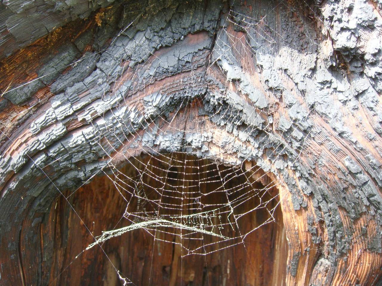 Wöllaner-Nock in Arriach, Villach-Land