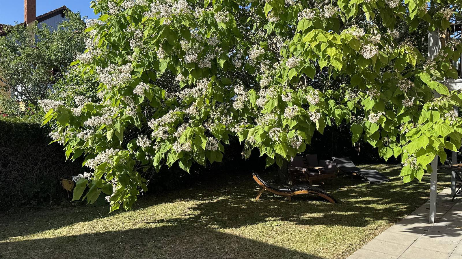 Ganze Ferienwohnung, Appartement mit 1 Schlafzimmer in Kirkel, Saarpfalz-Kreis