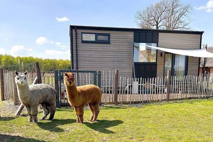 Ferienwohnung für 3 Personen, mit Terrasse in Borken